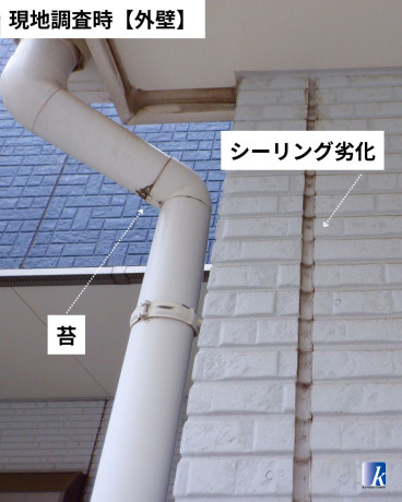 神奈川県横須賀市O様邸【金子塗装】外壁の現地調査:外壁シーリング劣化と苔の付着 神奈川県横須賀市O様邸【金子塗装】外壁の現地調査:外壁シーリング劣化と苔の付着