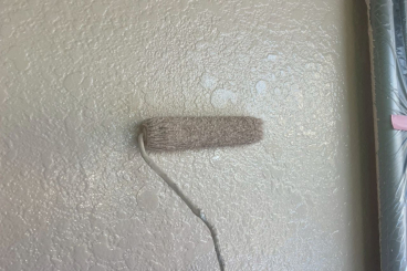 神奈川県横浜市保土ヶ谷区 T様邸 【関西ペイント】外壁塗装の上塗り工程 神奈川県横浜市保土ヶ谷区 T様邸 【関西ペイント】外壁塗装の上塗り工程