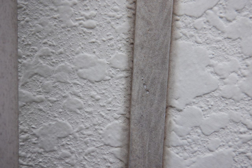 神奈川県横浜市緑区 S様邸 【関西ペイント】外壁塗装の中塗り工程